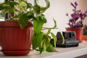 Coliving Together Vieste